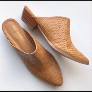 Matisse croc snakeskin boho slides